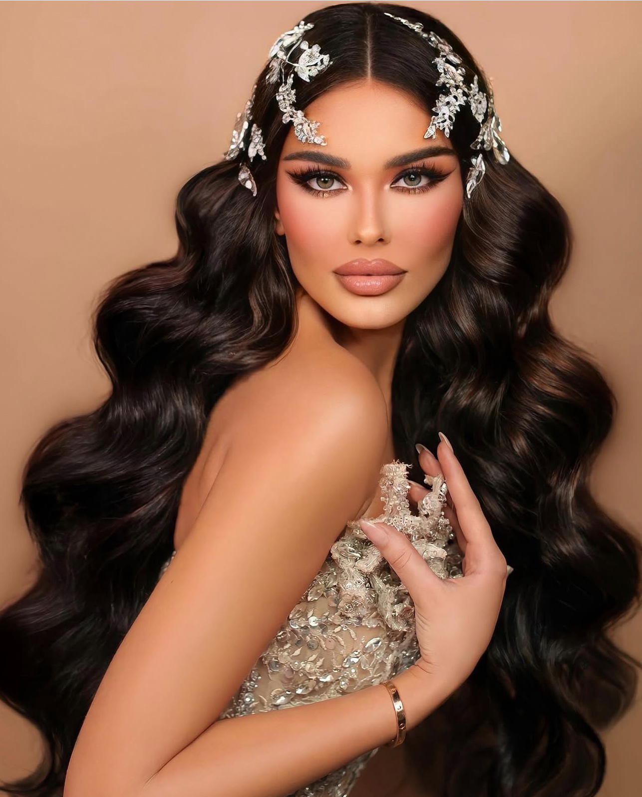 Bridal Glamour – Silberner Haarschmuck